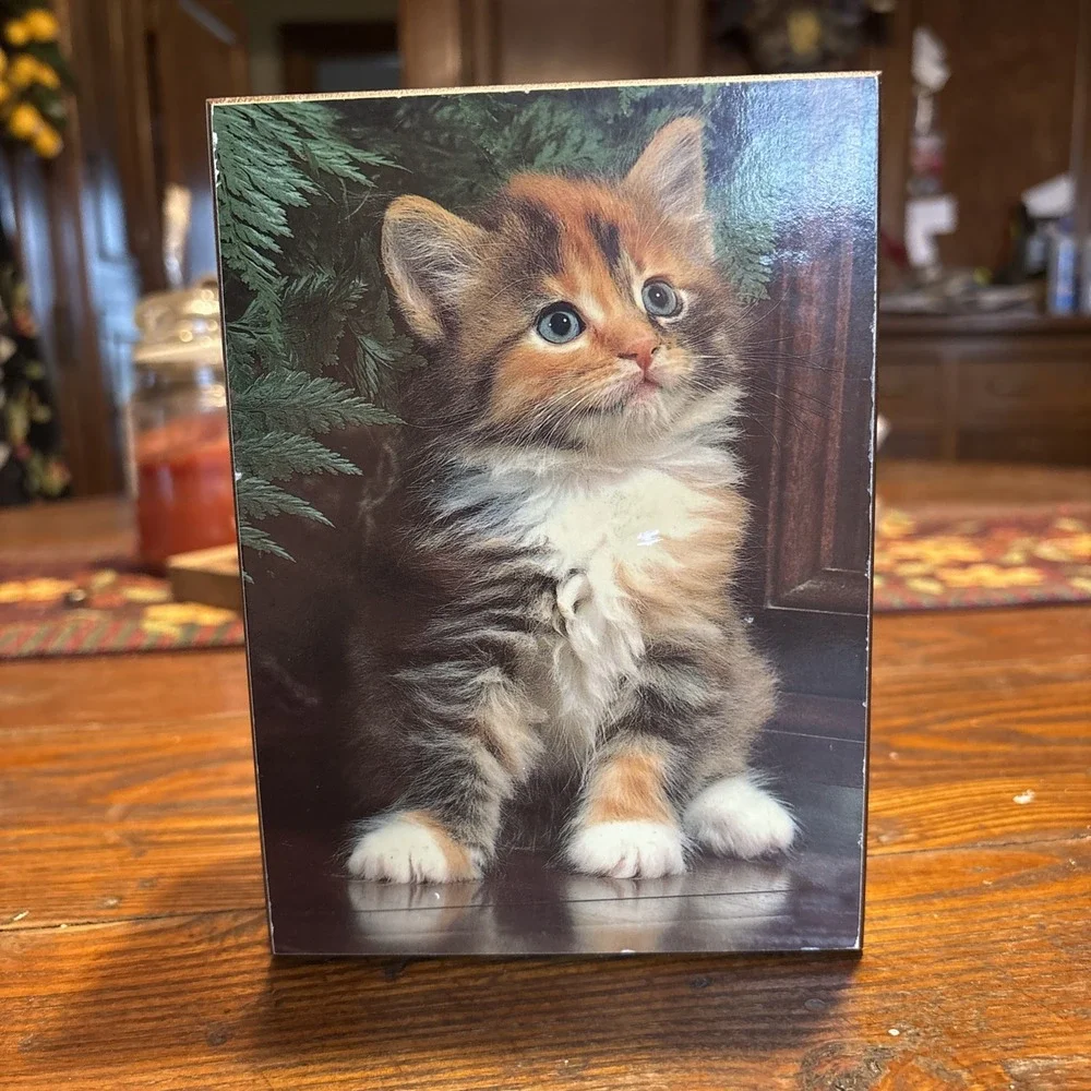 Vintage Kitten Cat Souvenir Cedar Wood Box Travel History Michigan Adventures
